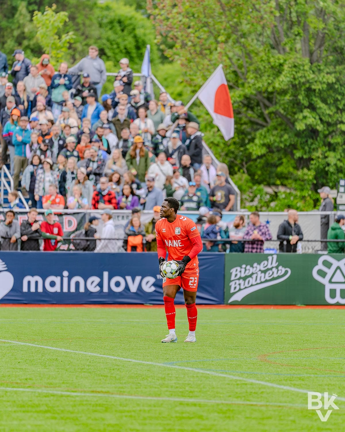 Portland Hearts of Pine Depth Featured in Cupset Over Detroit City Post feature image