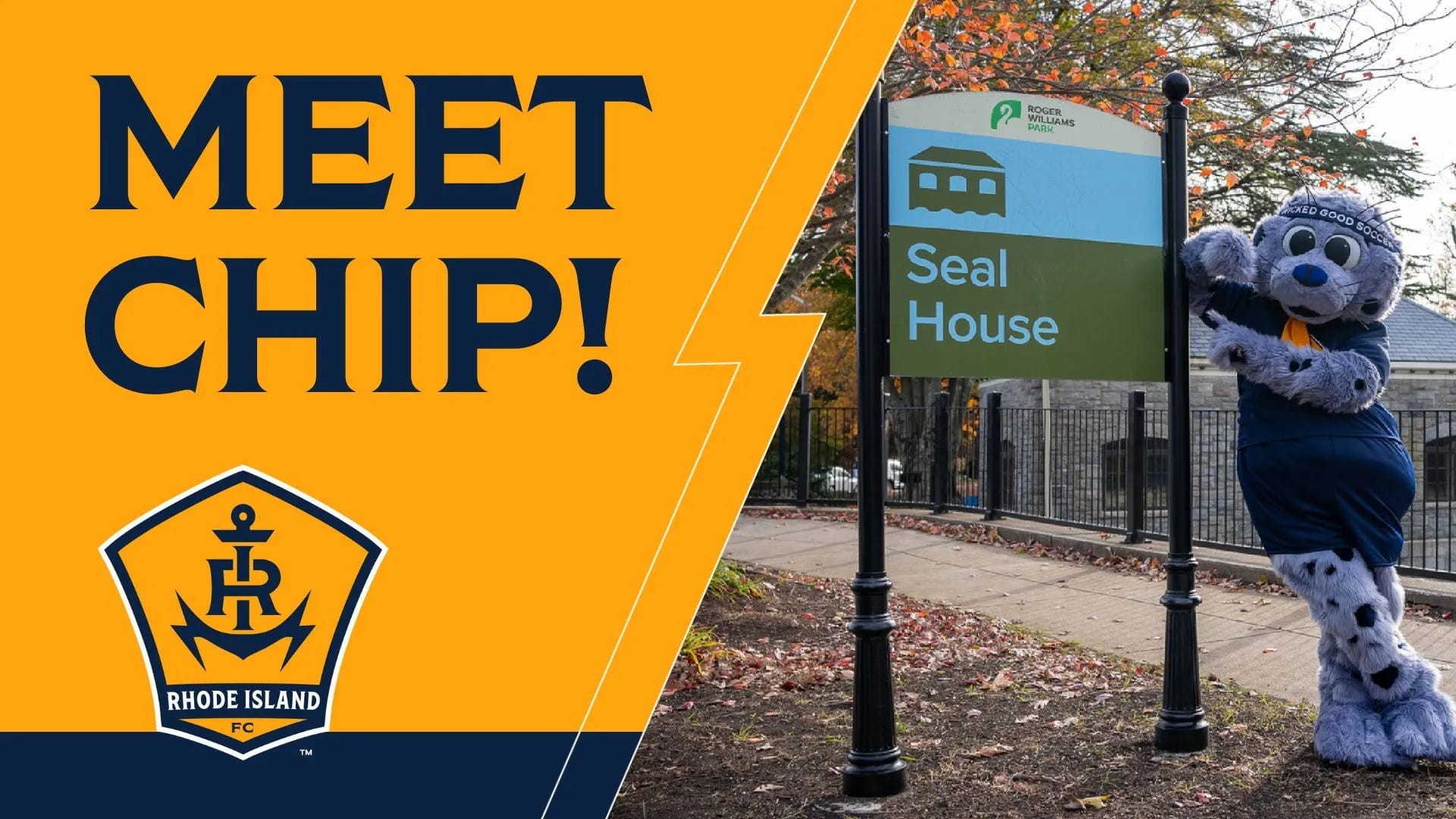 Rhode Island FC Announces Mascot Post image